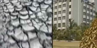 Water trains vs lush lawns: Two faces of Maharashtra's drought-hit Latur